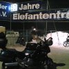 Elefanten
